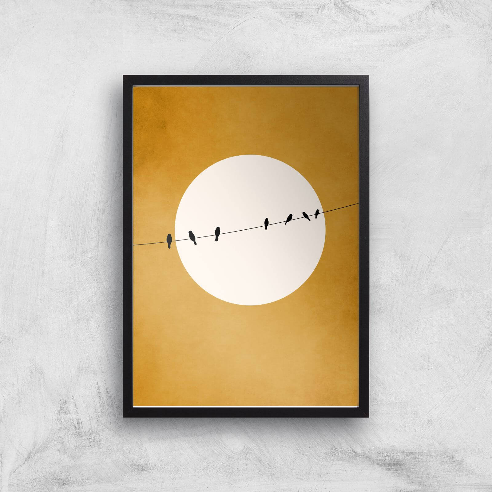 Borris Photography Chirping And Chilling At Night Giclee Art Print - A2 - Black Frame