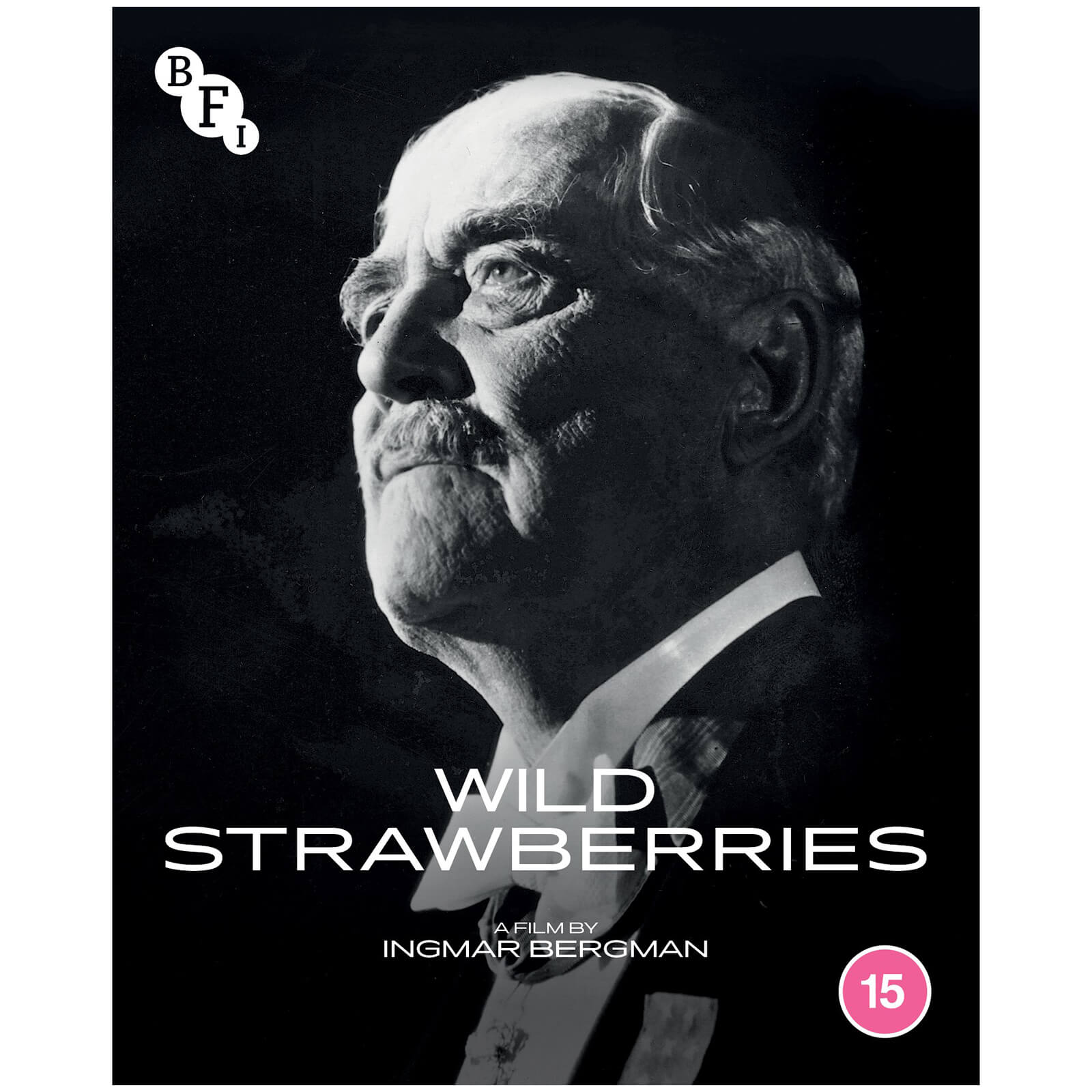 

Wild Strawberries