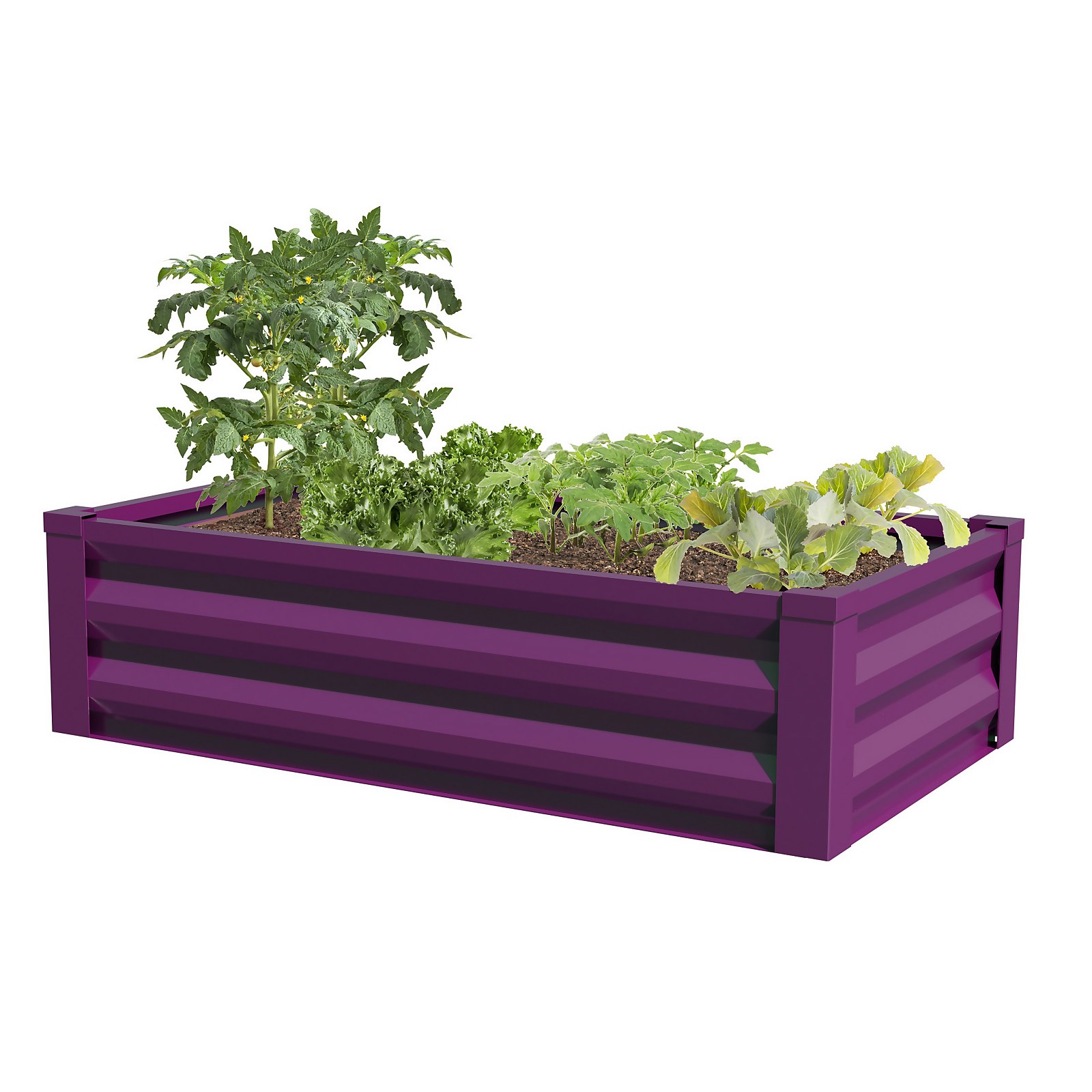Photo of Panacea Steel Rasied Garden Planter - Purple