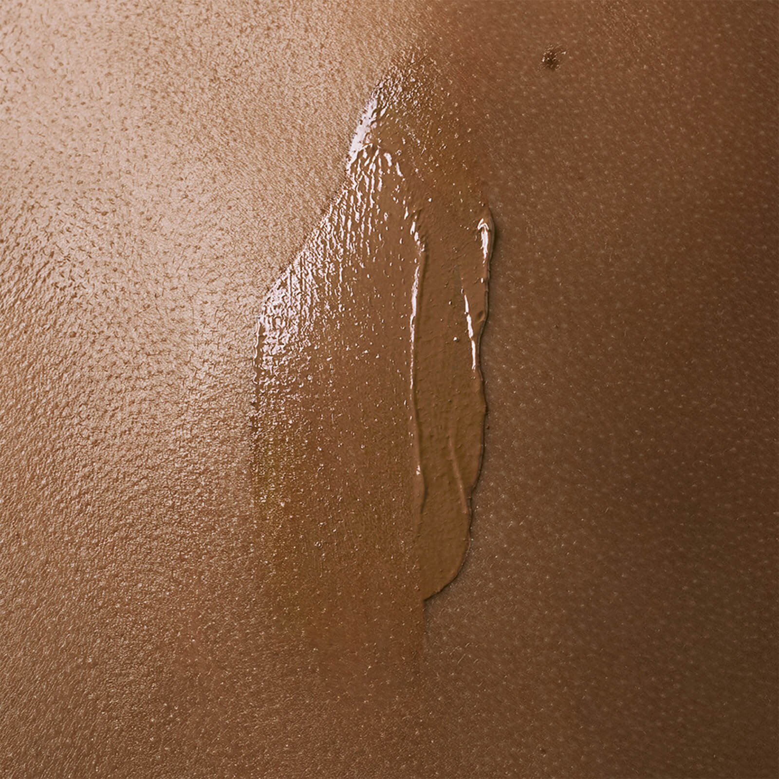 Alternate Image 1