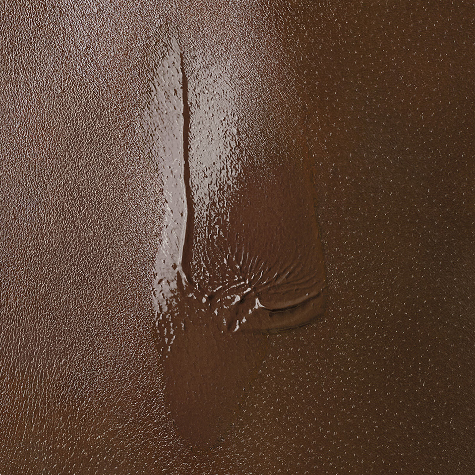 Alternate Image 1