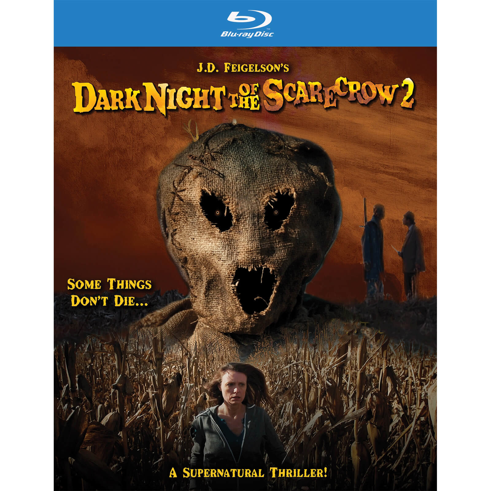 Dark Night Of The Scarecrow 2 (US Import)