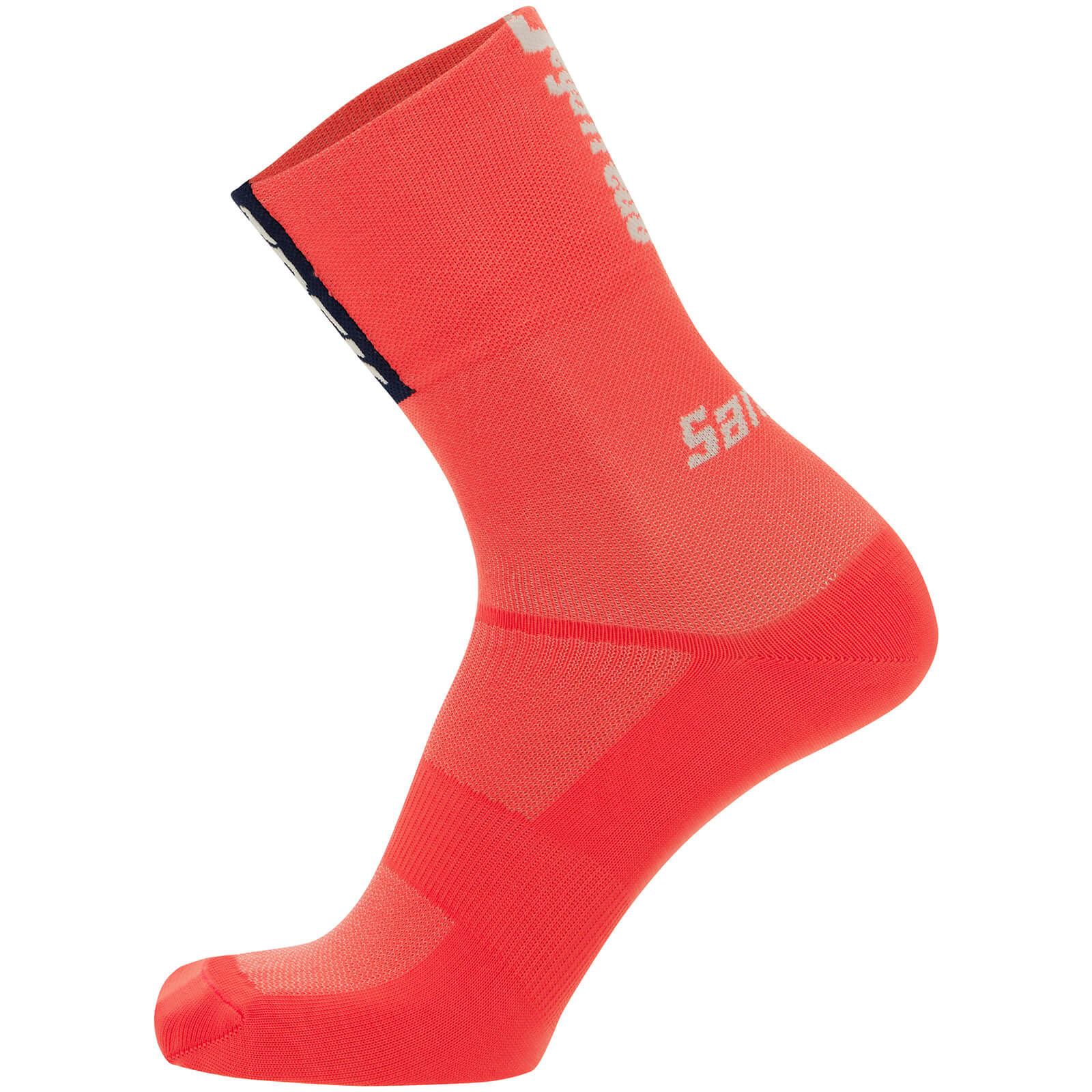 Santini Trek Segafredo Medium Profile Socks - XS - Pink