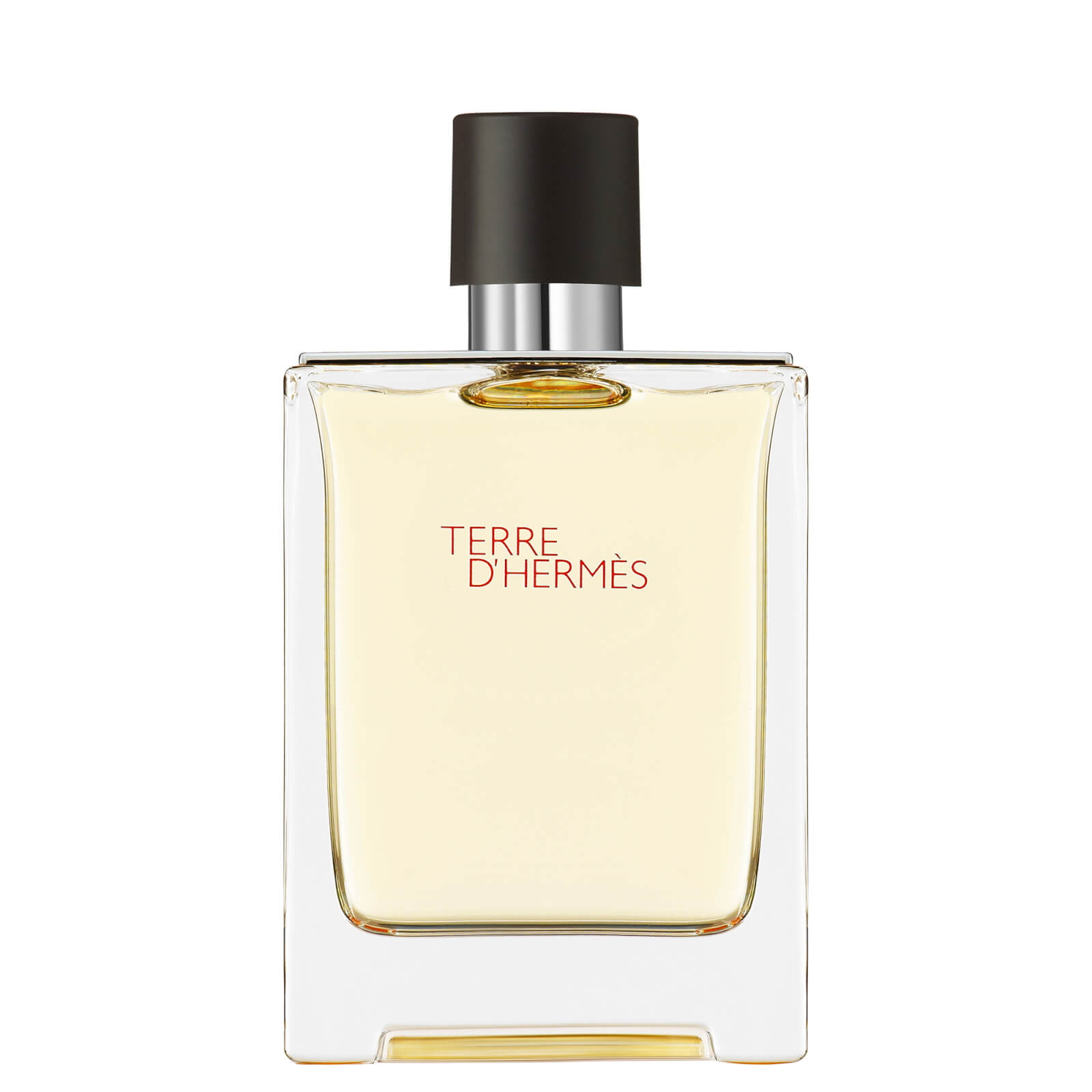 Photos - Women's Fragrance Hermes Hermès Terre d'Hermès Eau de Toilette 100ml 107188V0 
