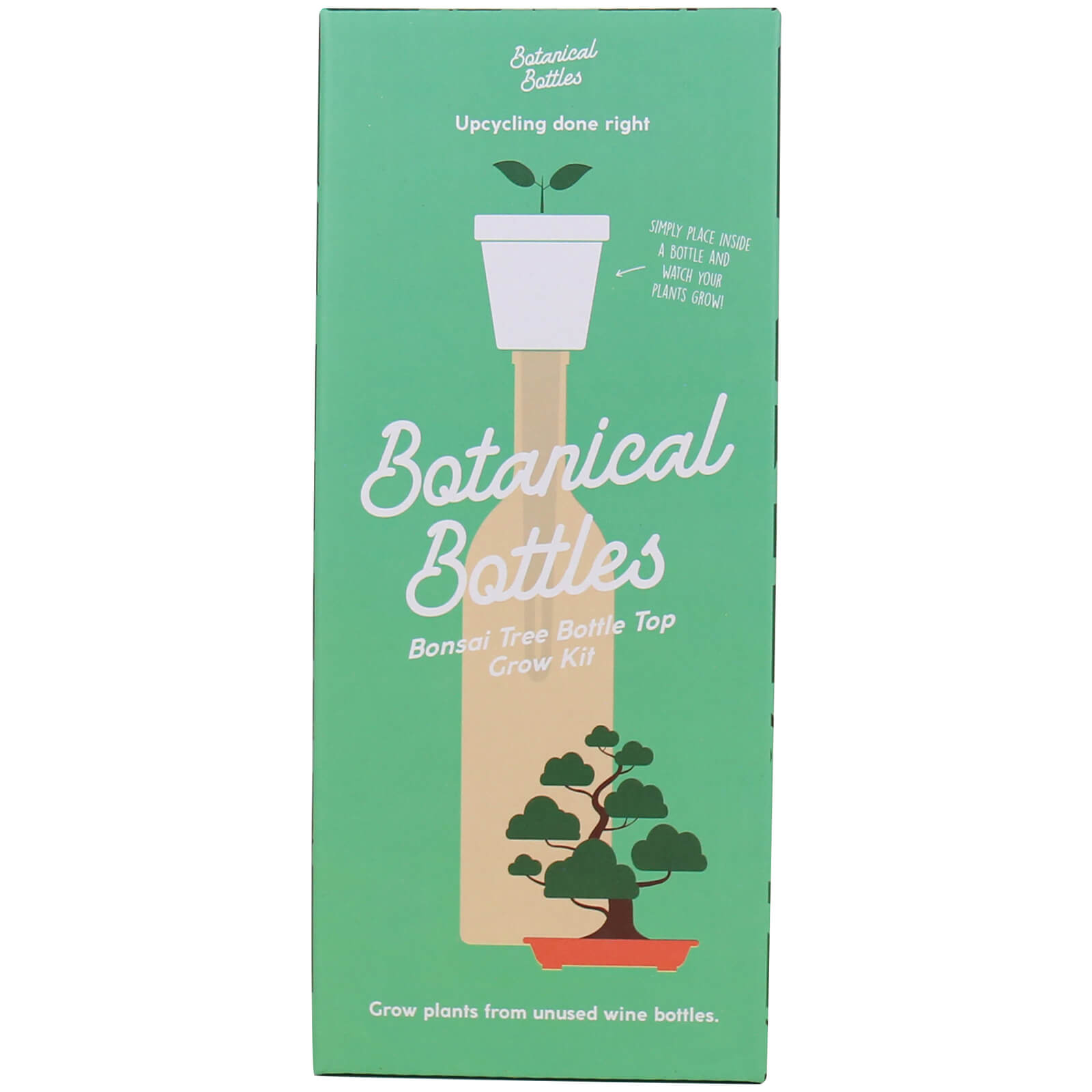 Image of Botanical Bottles - Bonsai Tree