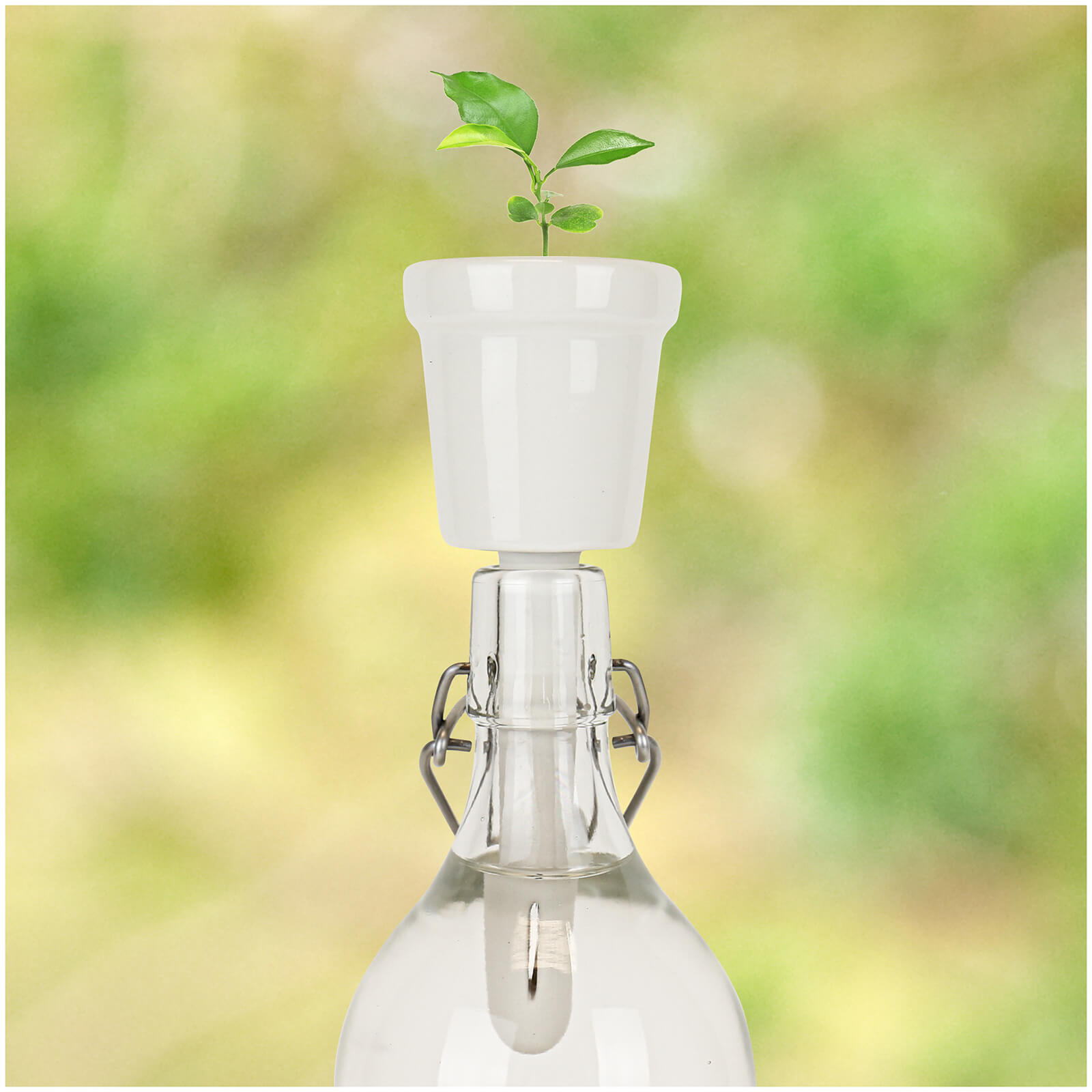 Botanical Bottles - Coffee