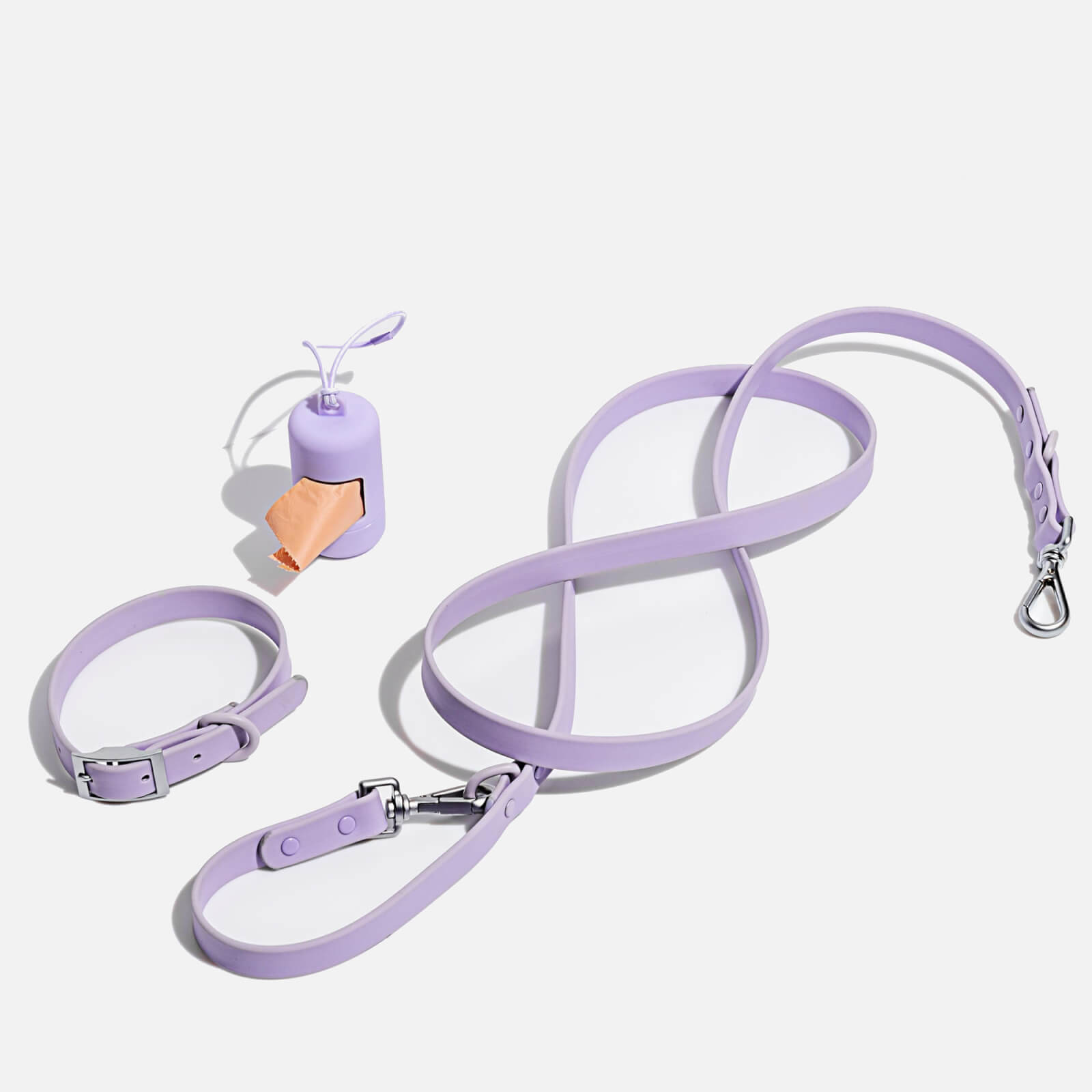 Wild One Dog Collar Walk Kit - Lilac - M