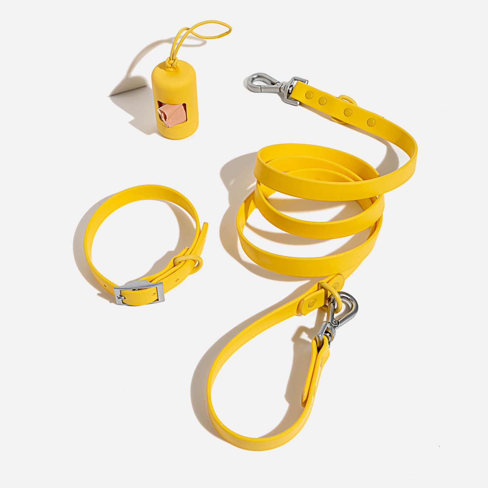 Wild One Dog Collar Walk Kit - Butter Yellow - XL