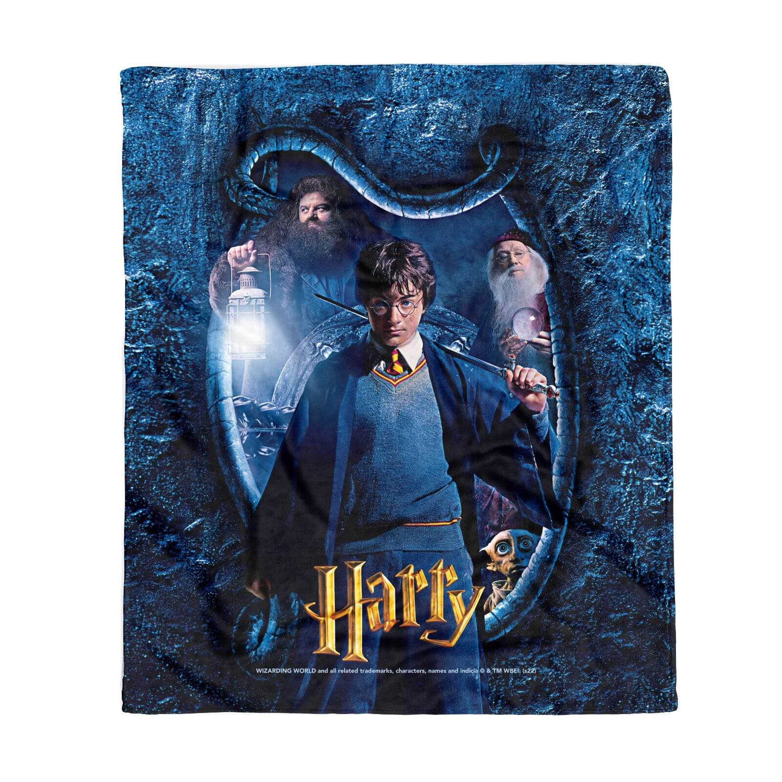 

Harry Potter Harry Fleece Blanket - S