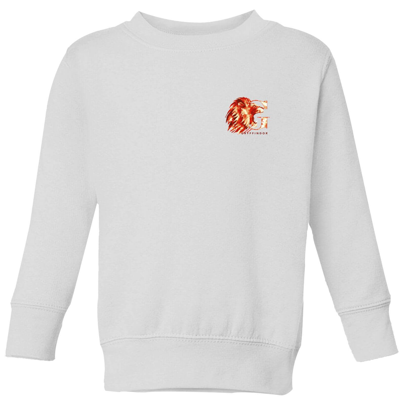 

Harry Potter Gryffindor Kids' Sweatshirt - White - 5-6 ans - Blanc