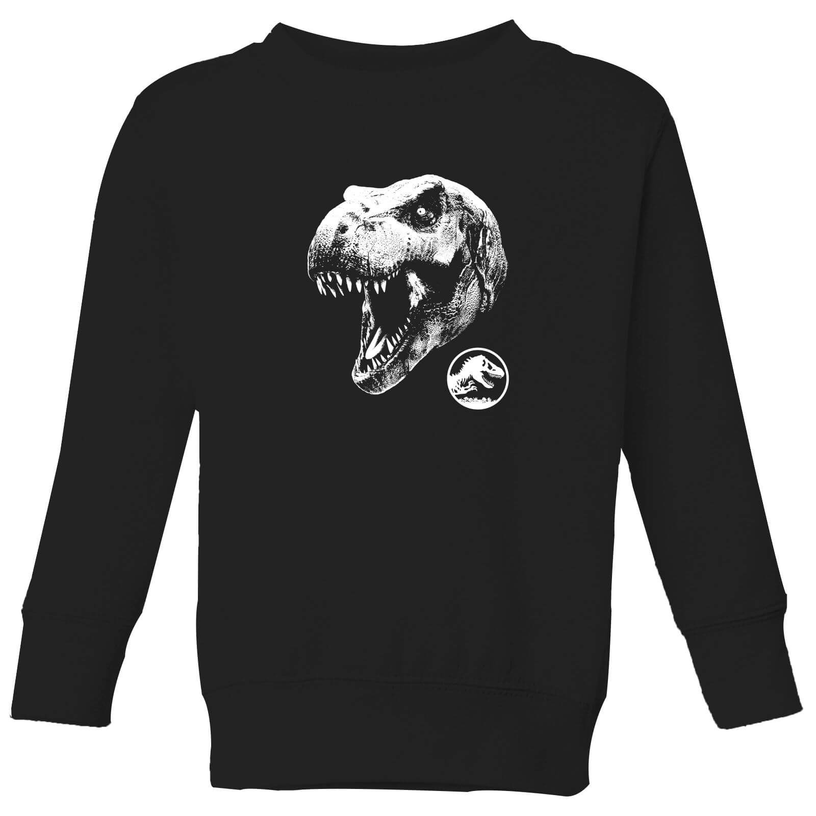 

Jurassic Park T Rex Kids' Sweatshirt - Black - 3-4 Anni - Nero
