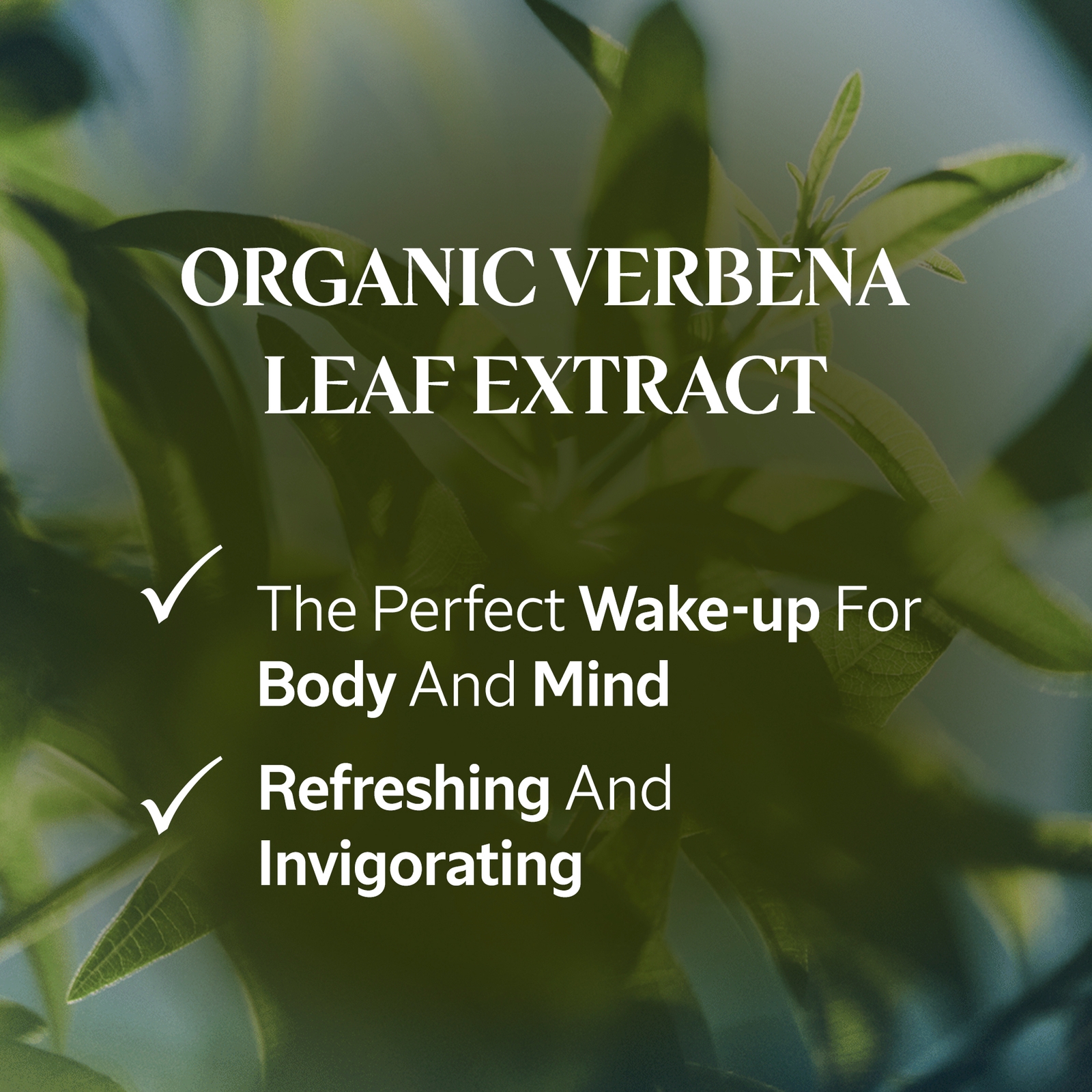 Thumbnail - L'OCCITANE Verbene Schaumbad 500 ml
