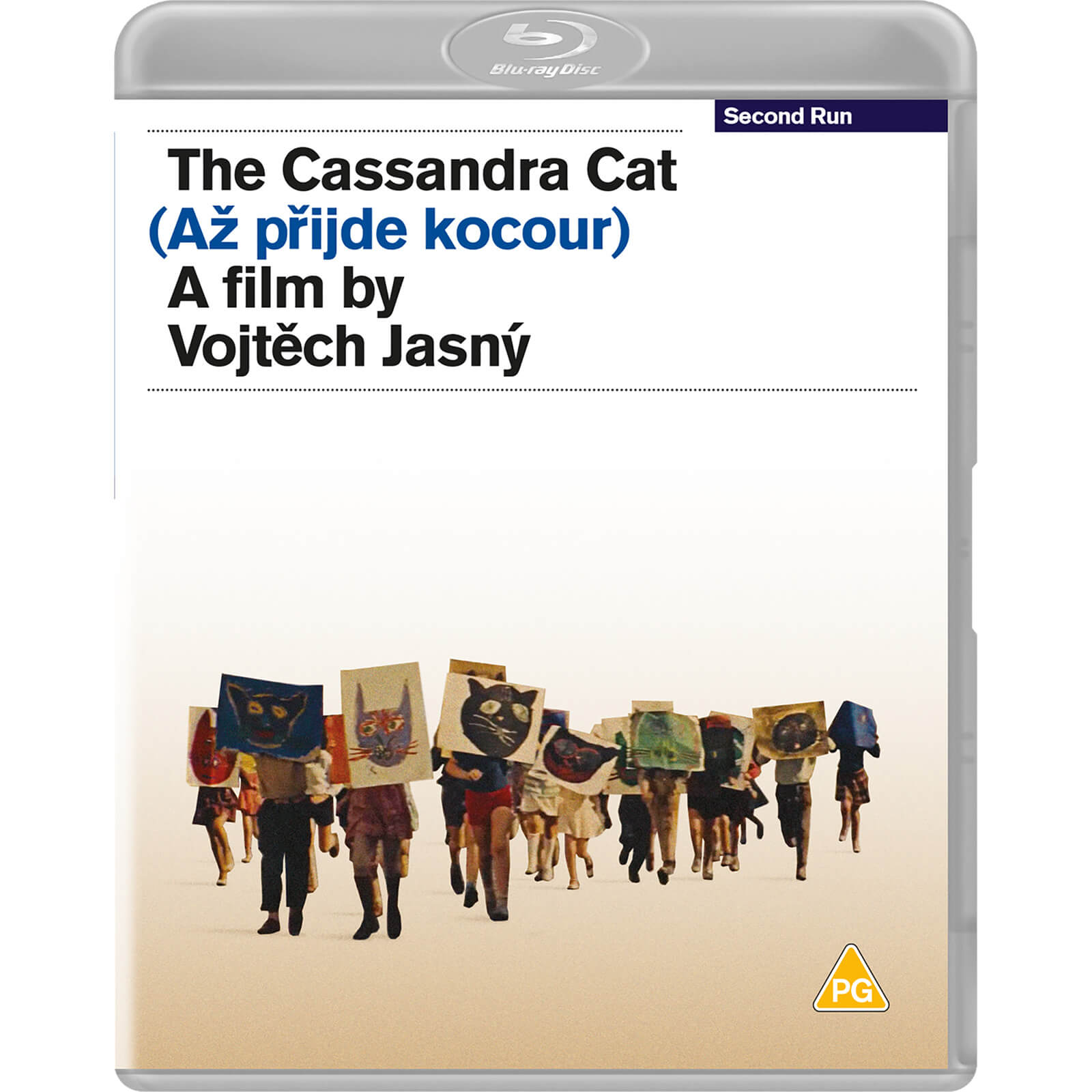The Cassandra Cat