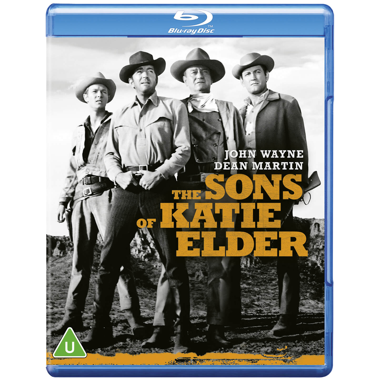 The Sons of Katie Elder