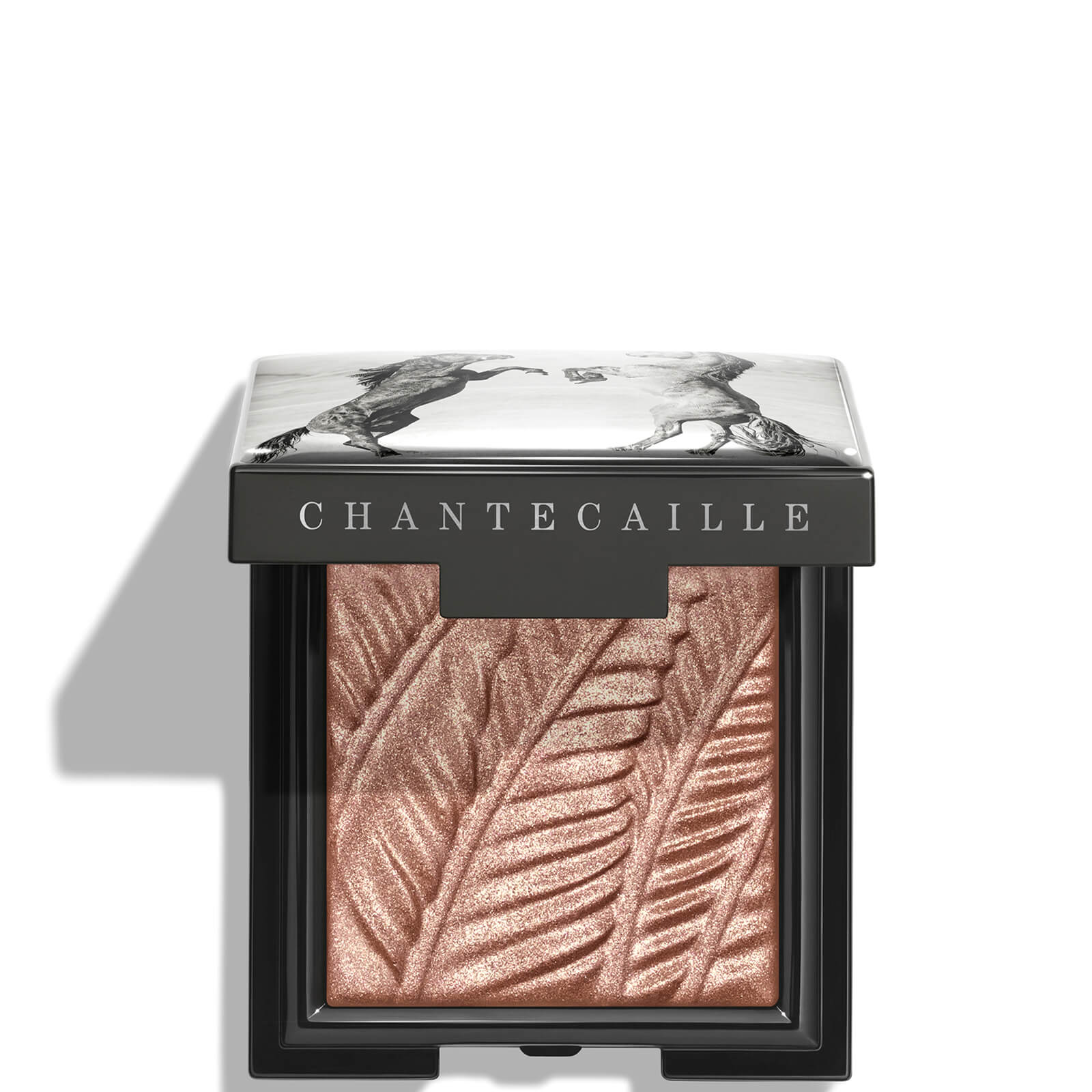 

Chantecaille Wild Mustang Luminescent Eyeshadow 2.5g (Various Shades) - Roan