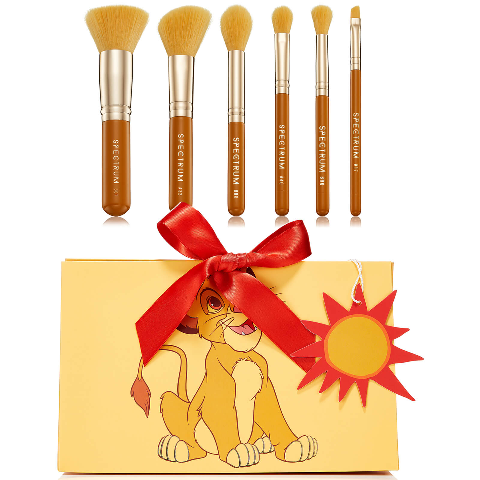 Spectrum Collections Simba 6-piece Giftable Brush Set In Multi