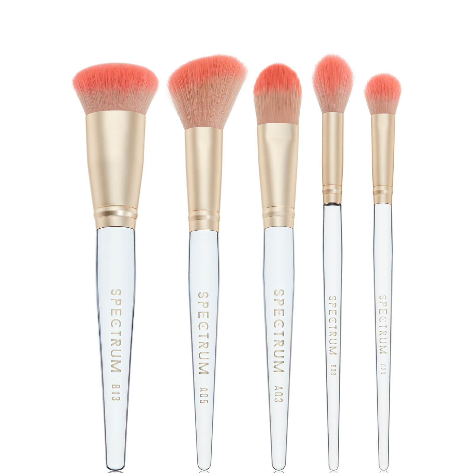 

Spectrum Collections Sea Shell Motel 5-Piece Face Set