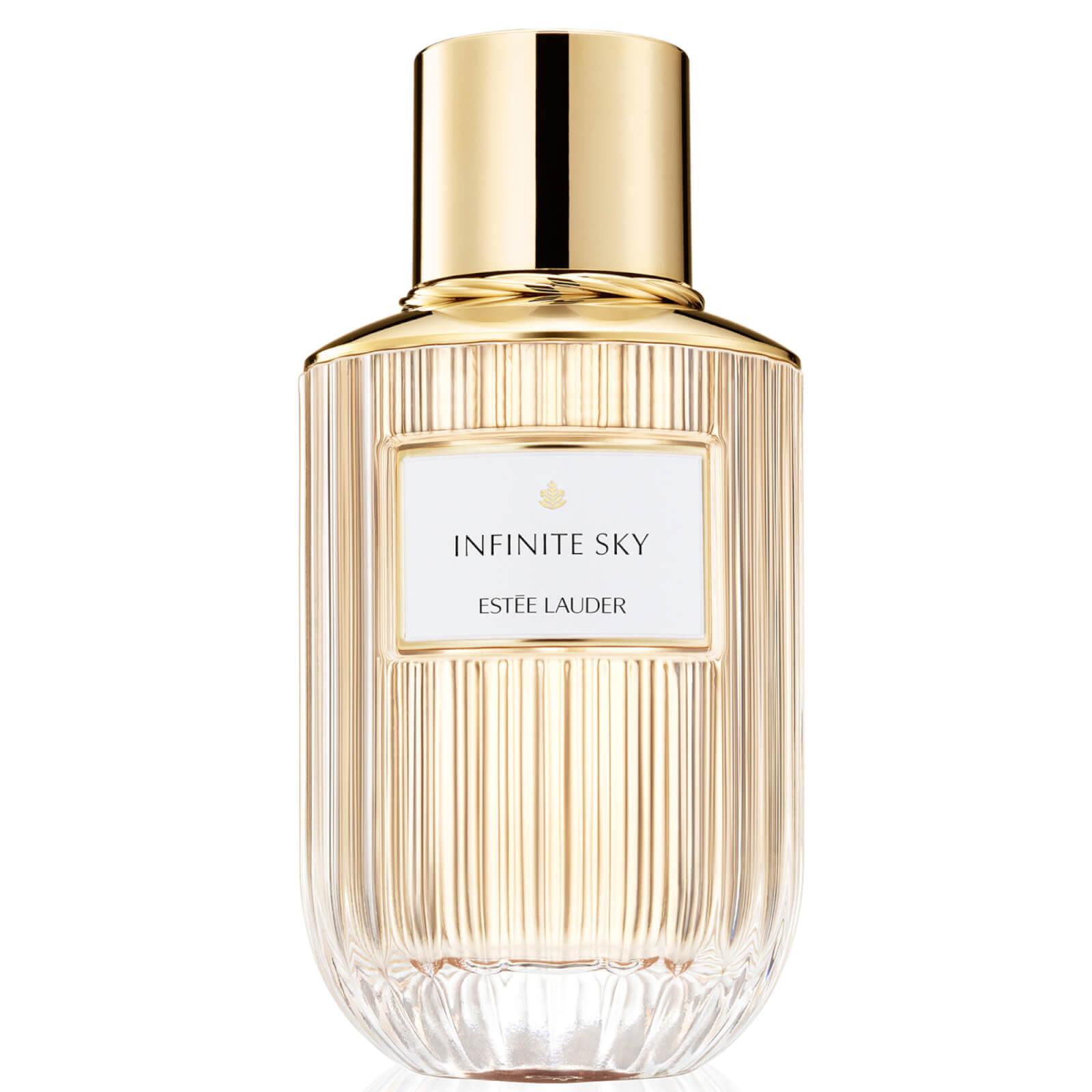 Estée Lauder Refillable Infinite Sky Eau de Parfum 100ml
