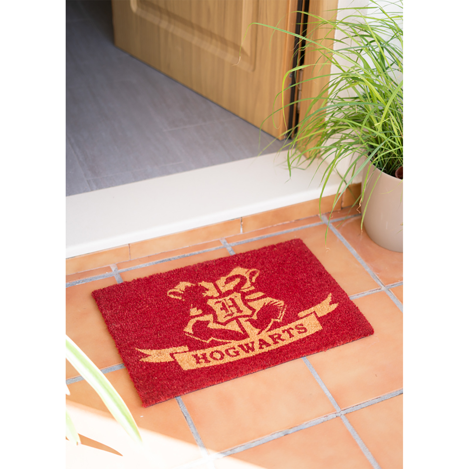 Doormat Harry Potter Hogwarts