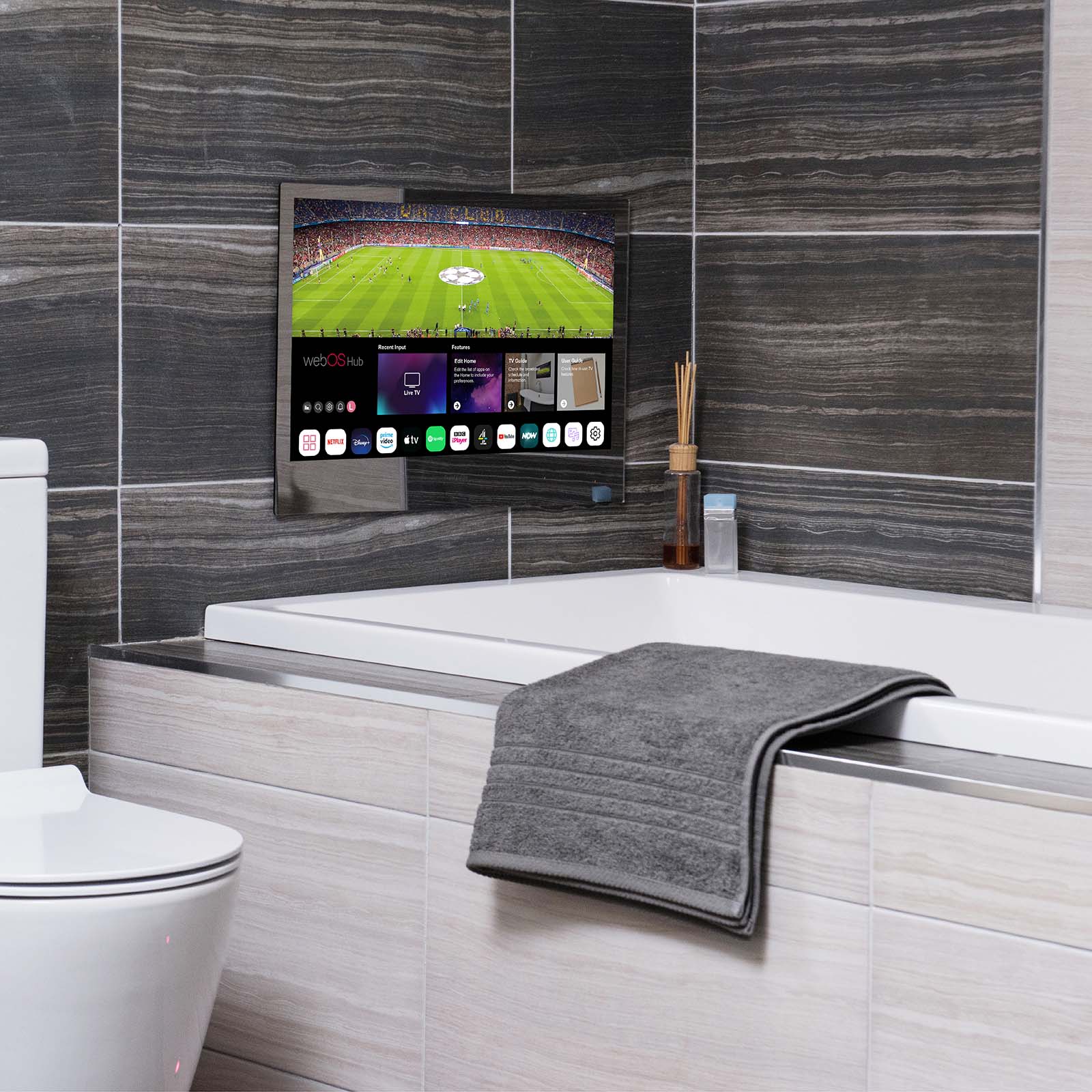 ProofVision 19inch Smart Bathroom TV with WebOS - Mirror