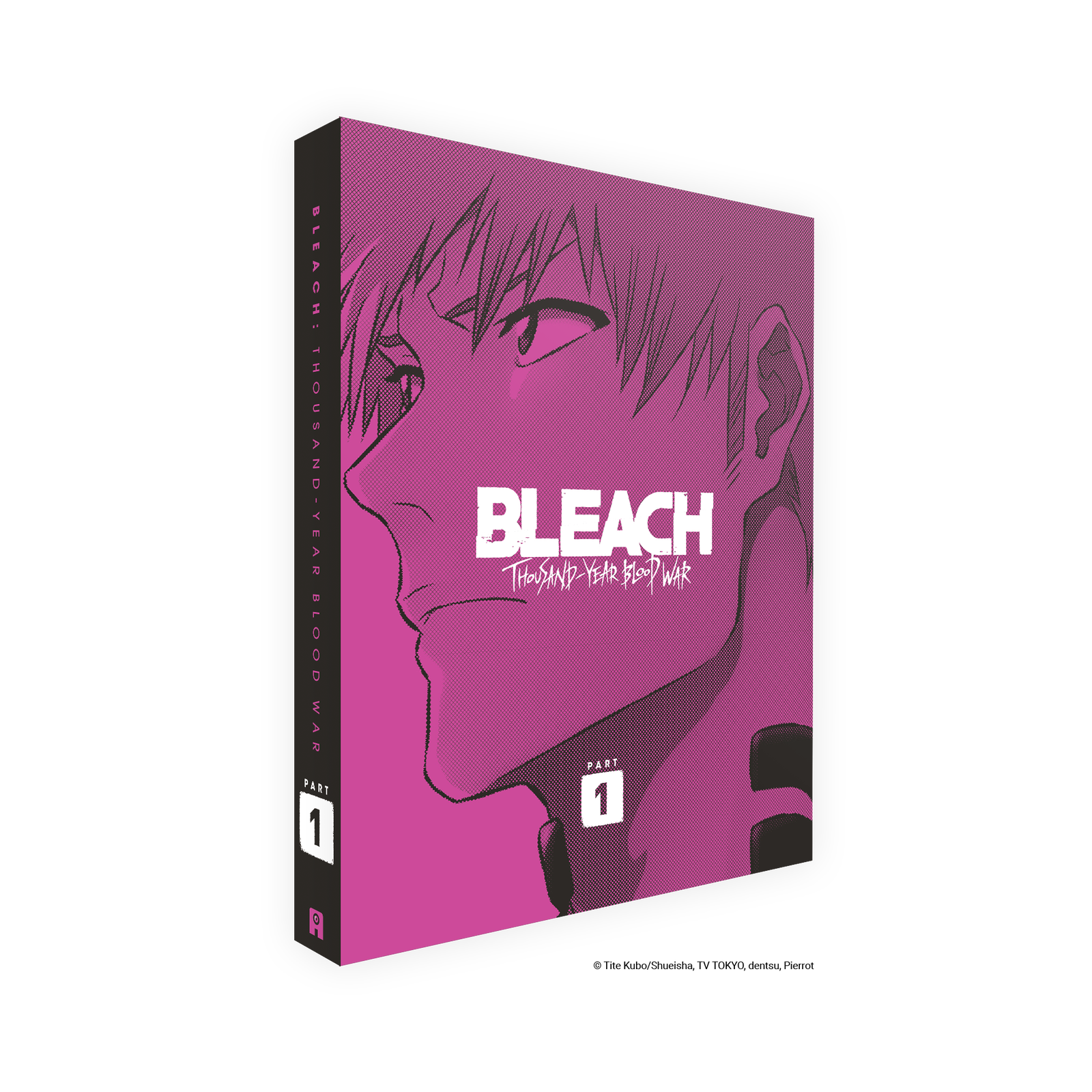 Click to view product details and reviews for Bleach Thousand Year Blood War Part 1 Limited Collectors Edition Blu Ray.