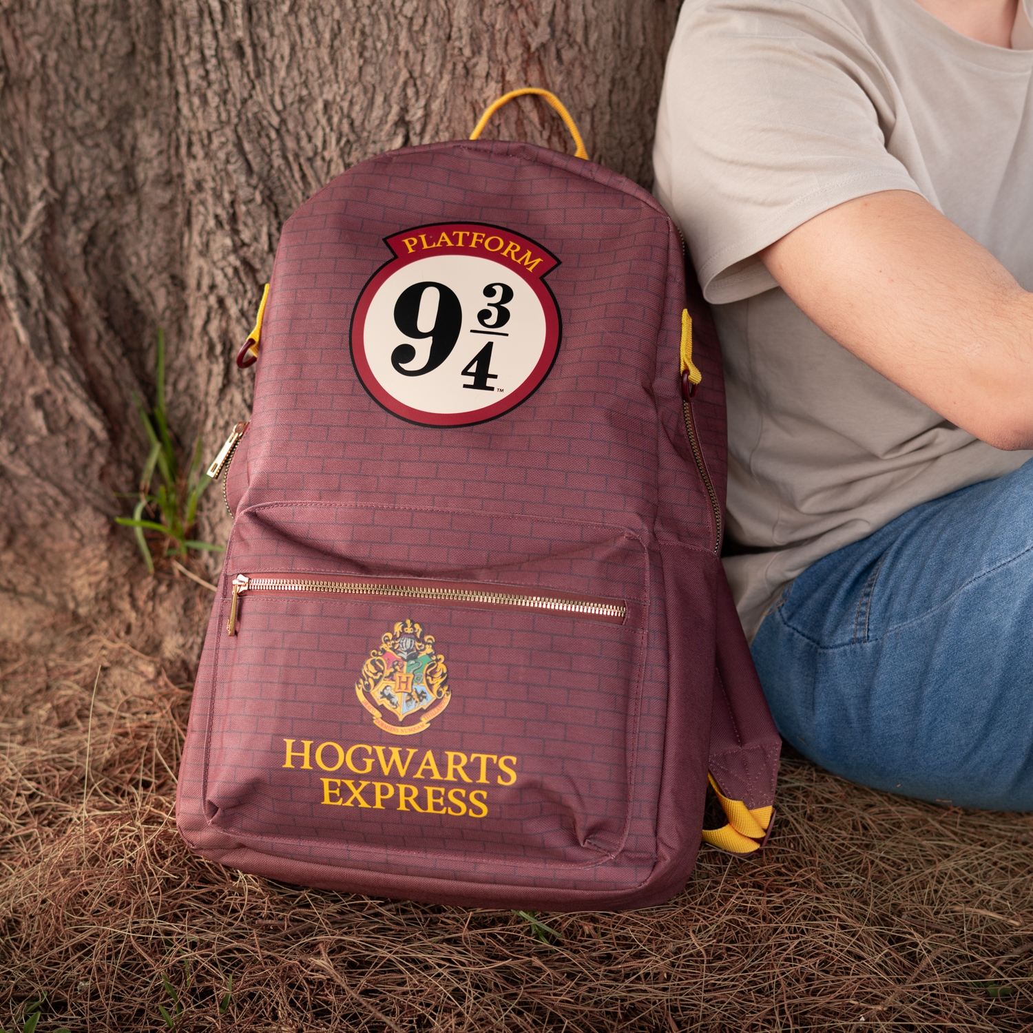 Harry Potter 9 3/4 Backpack