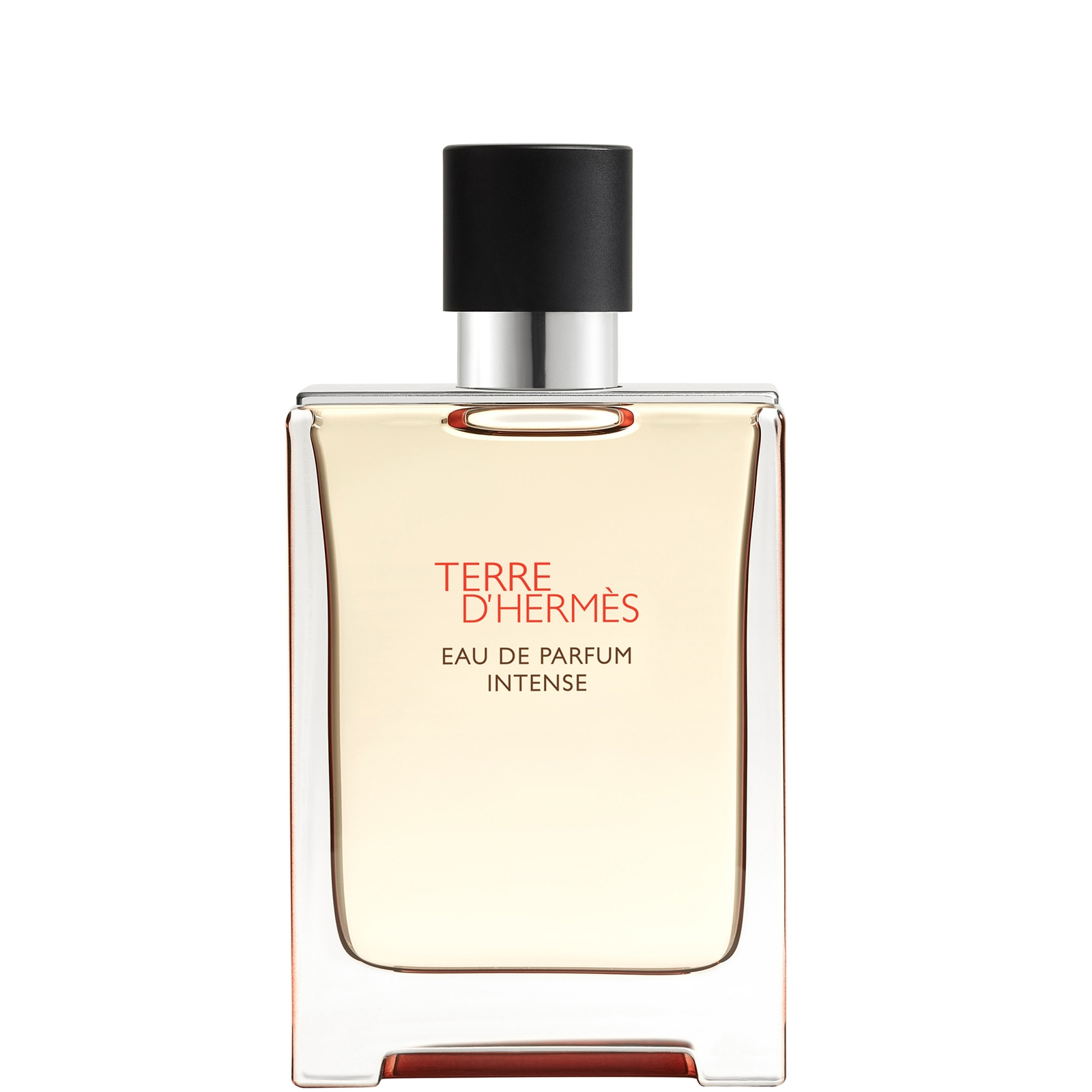 Hermes Terre D'hermès Eau De Parfum Intense 100ml