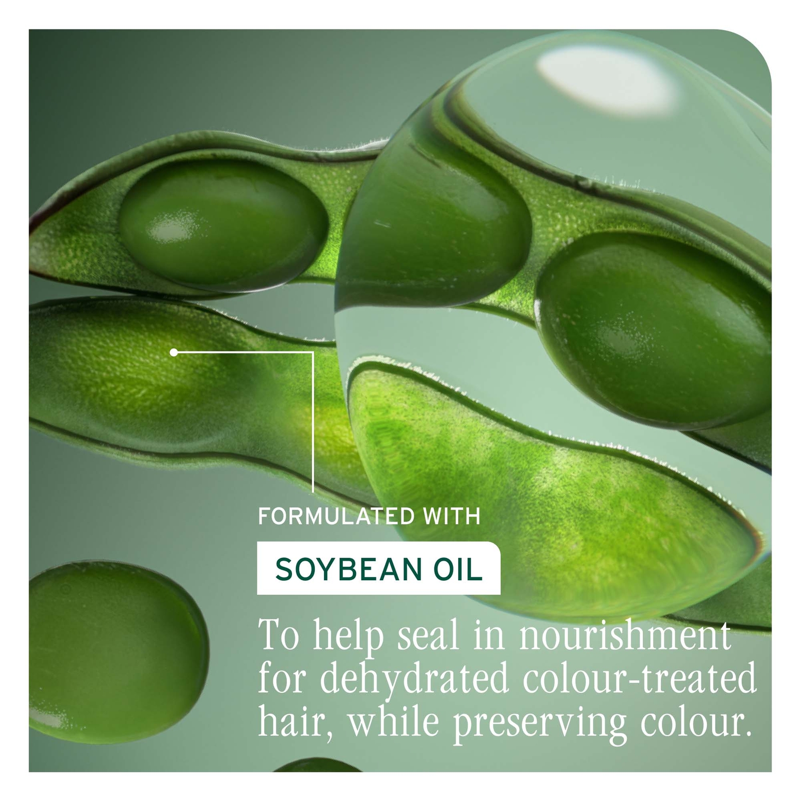 Thumbnail - Biolage Color Last Shampoo 400ml