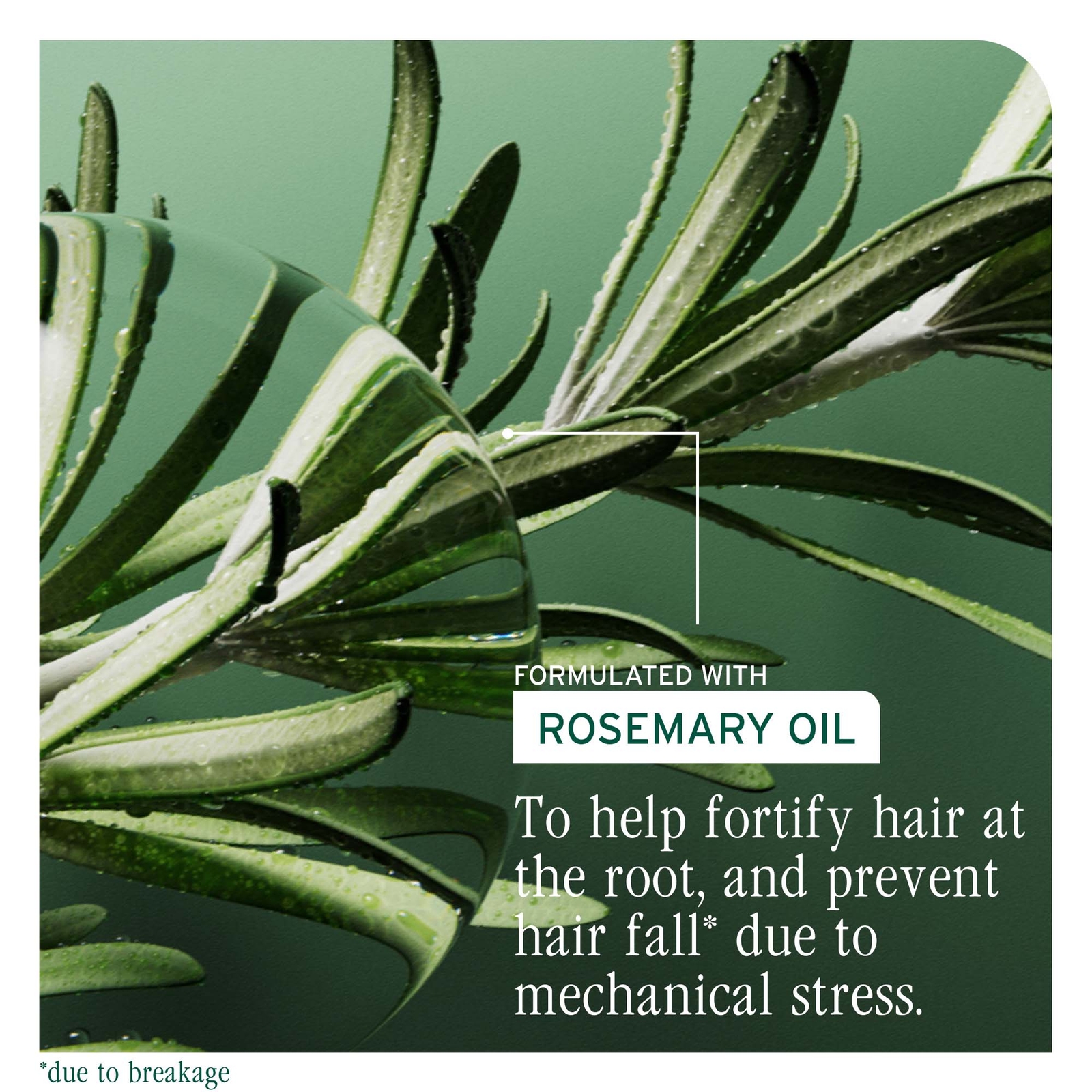 Thumbnail - Biolage Full Rescue Invigorating Scalp Serum 50ml