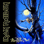 Image of Iron Maiden - Fear of the Dark LP