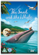 The Snail and the Whale