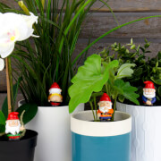Image of Naughty Gnomes - Mini Plant Pot Planters