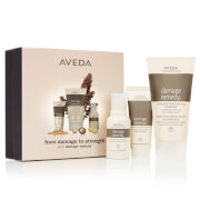 Aveda LOOKFANTASTIC Exclusive From Damage To Strength Set