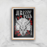 Poster Fine Art Jurassic Park Isla Nublar 93 - A4 - Wooden Frame