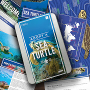 Image of Adopt a Sea Turtle Gift Tin