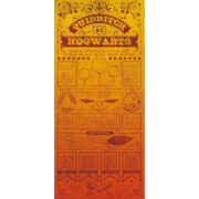 Harry Potter Premium Limited Edition Art Print : Quidditch Rules Harry Potter Premium Limited Edition Art Print : Quidditch Rules