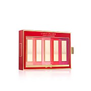 

Estée Lauder 5 Pure Colour Envy Lipstick Set