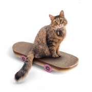 Image of Cat Scratch Skateboard