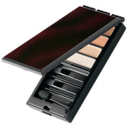 

Serge Lutens Concealer Perfector