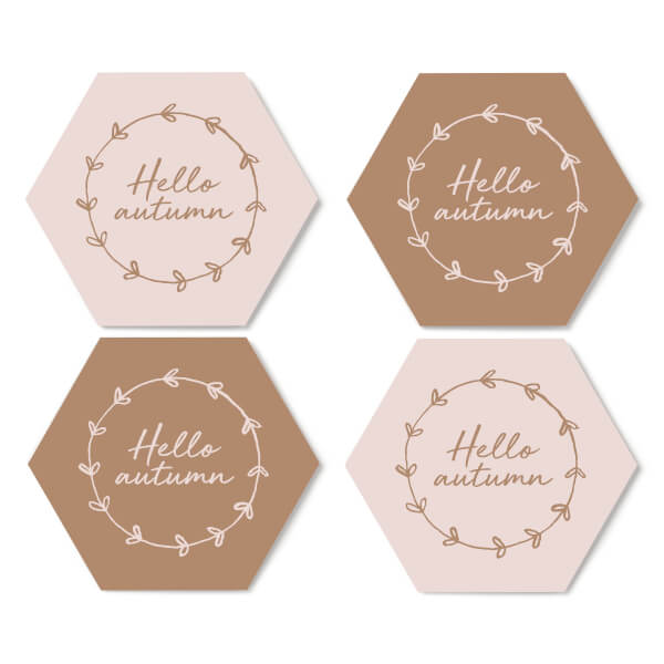 Hello Autumn Hexagonal Coaster Set