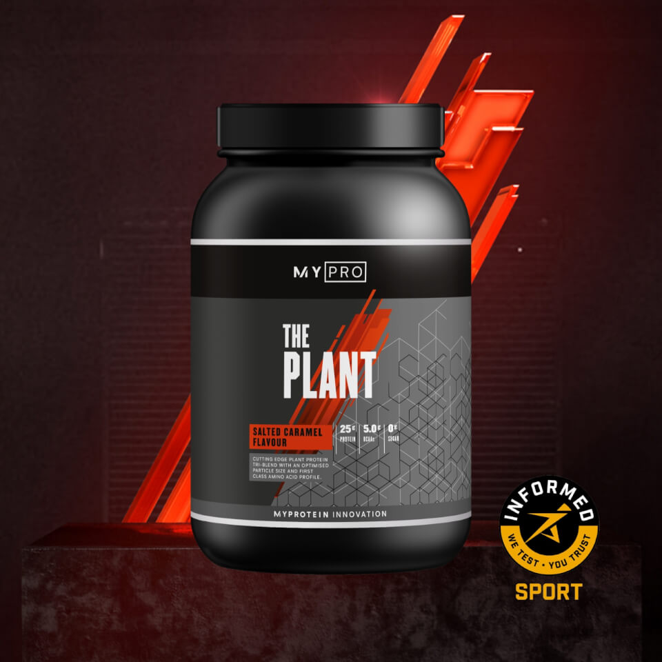 THE Plant – 20servings – Ny – Salted Caramel