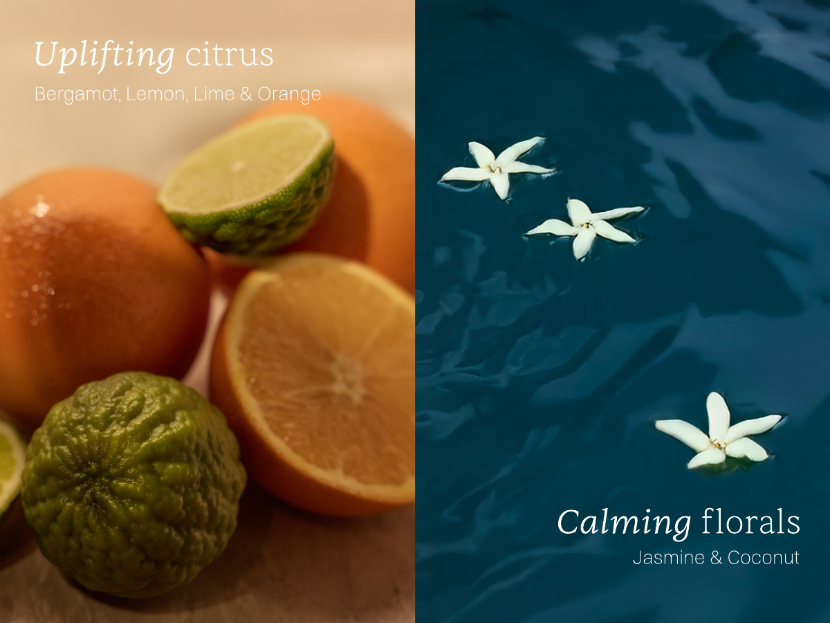 Uplifting Citrus - Bergamot, Lemon, Lime & Orange. Calming Florals - Jasmine & Coconut