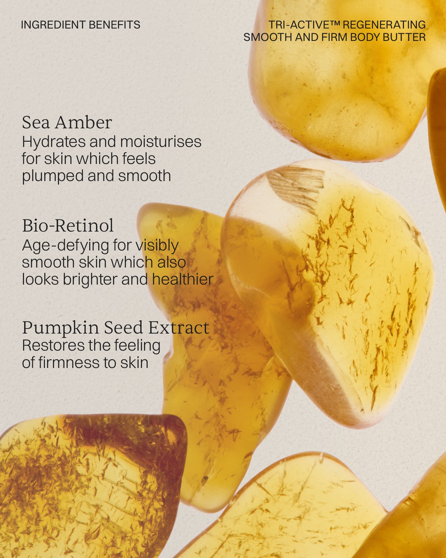 iNGREDIENTS: SEA AMBER. BIO-RETINOL. PUMPKIN SEE EXTRACT