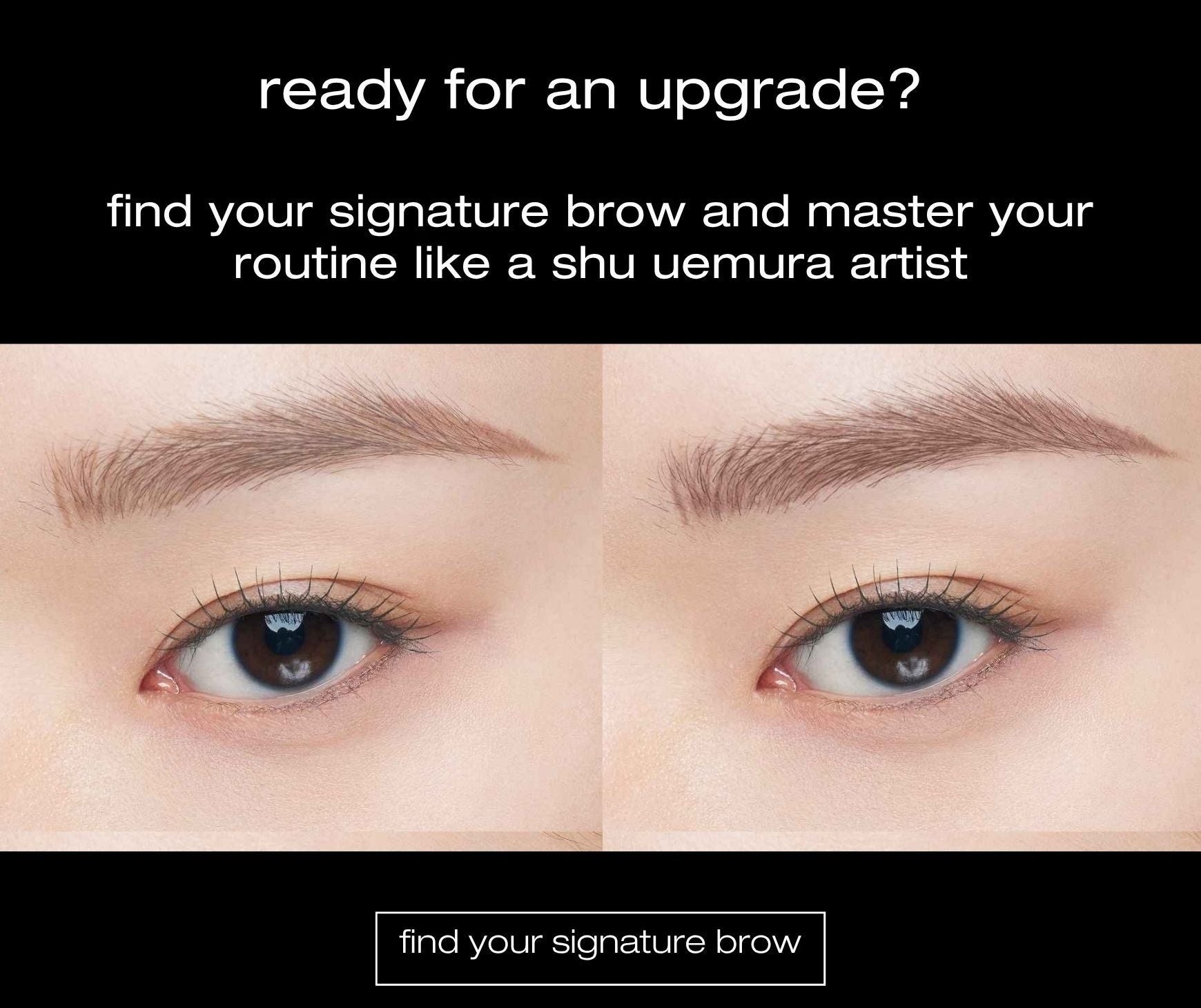 find your signature brow