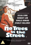 Network No Trees In The Street network kopen in de aanbieding Network No Trees In The Street network kopen in de aanbieding