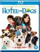 Palace pour chiens