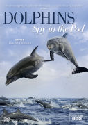 Dolphins Spy in the Pod