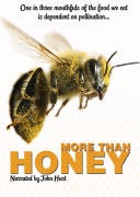 More Than Honey