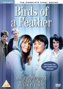 Network Bird Of A Feather Series 1 network kopen in de aanbieding Network Bird Of A Feather Series 1 network kopen in de aanbieding