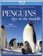 Acorn Media Penguin Spy In The Huddle acorn media kopen in de aanbieding
